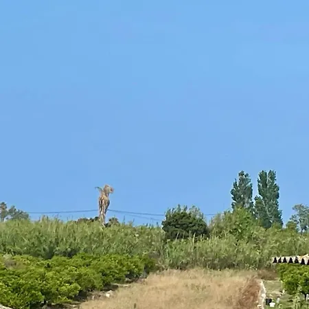La Terreta El Brosquil